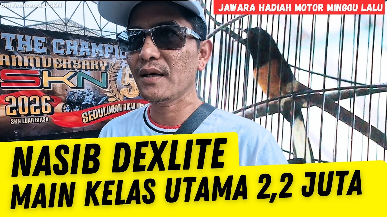 Kemarin Dapet Motor ‼️ Di kelas Utama 2,2 juta Dapet ini Murai Dexlite di 5th Anniv SKN
