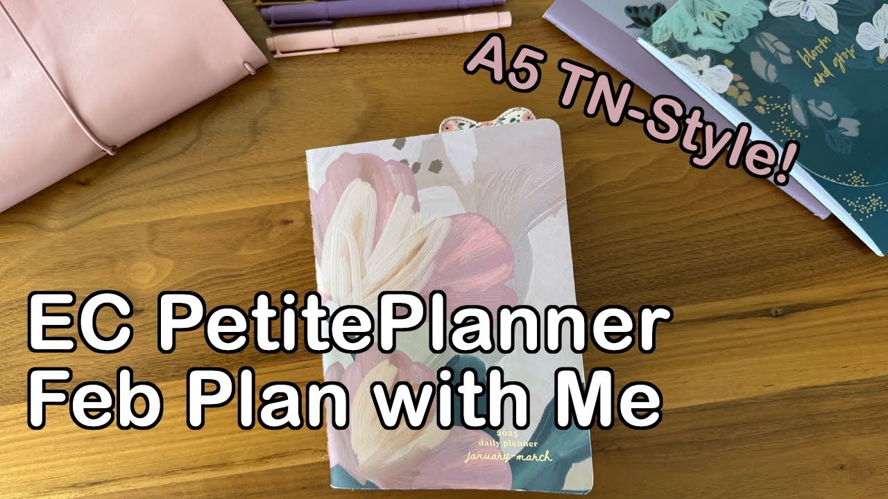 Erin Condren Daily PetitePlanner | Feb 2025 Plan with Me & Jan Review