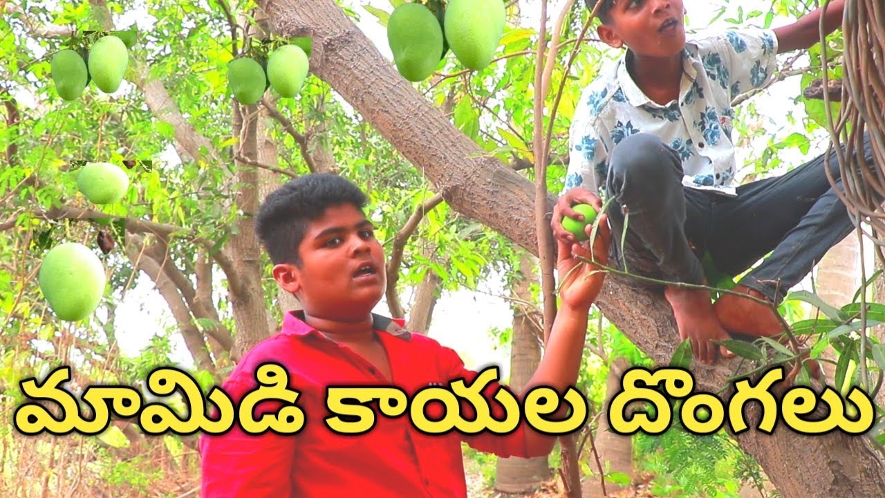 Mamidi Kayala Dongalu !! My Village Comedy !! Dheeraj Lp