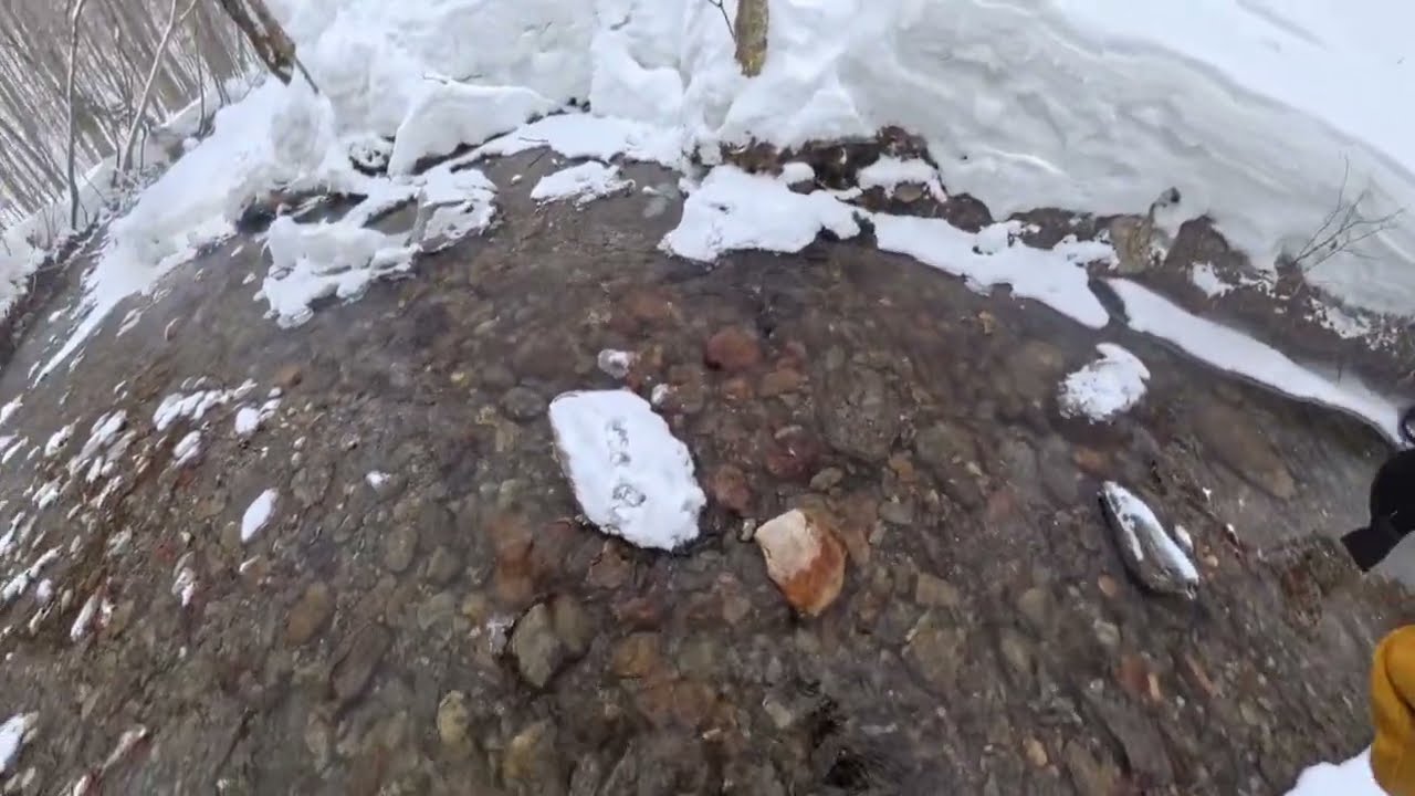 Secret Line at Stowe | Fresh Tracks & Creek Crossing