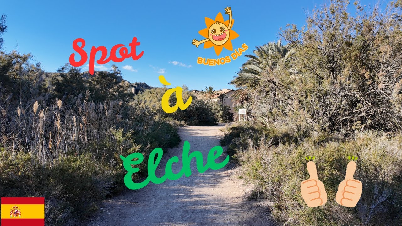 Spot à Elche