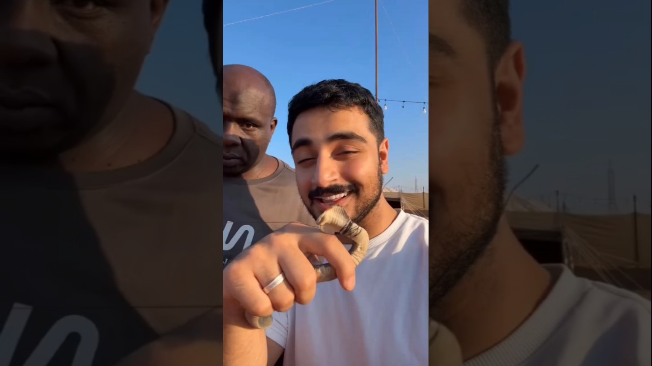 🐍 Prank On My Dwarf Friends 😂😹 #Viral #funnyvideo #funny