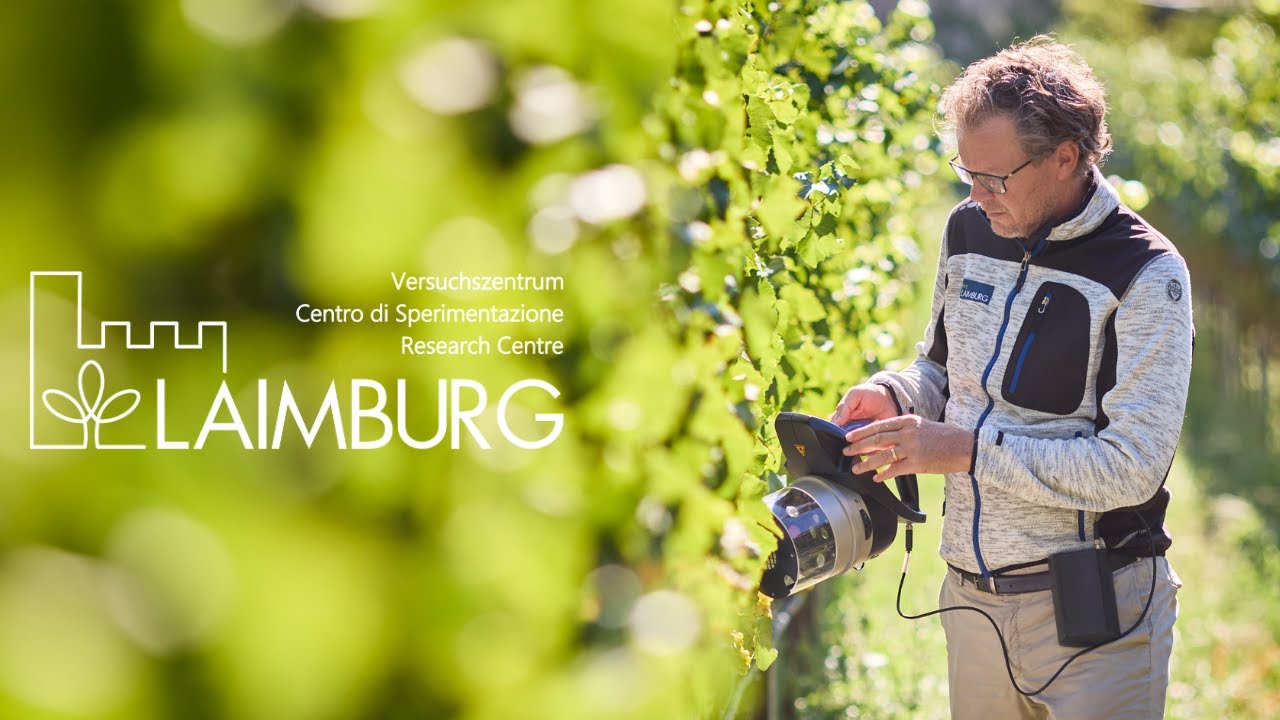 Campus | Studiogespräch mit Walter Guerra