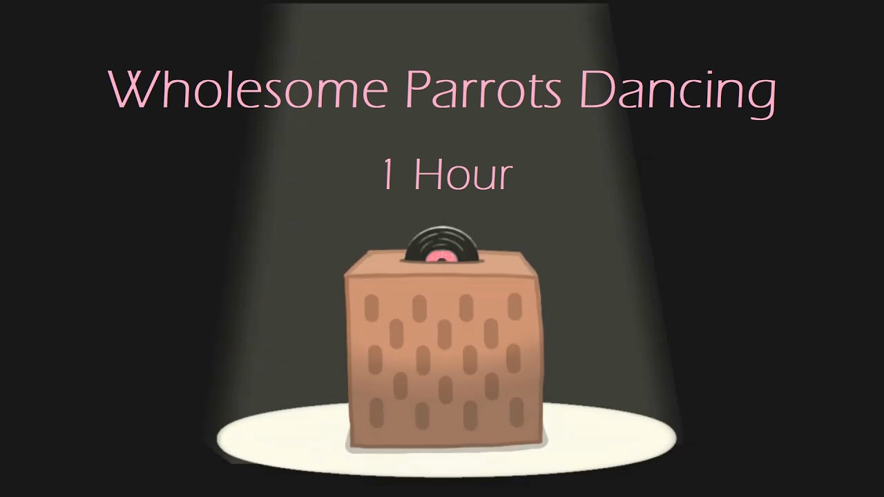 Wholesome Parrots Dancing (1-Hour Special!)