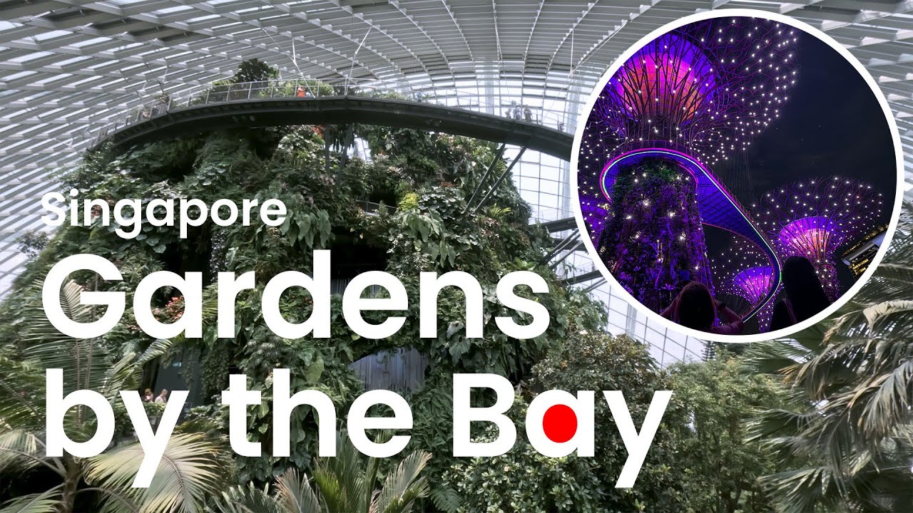 Singapore&rsquo;s Garden Wonderland: Supertrees, Domes & Hidden Gems!