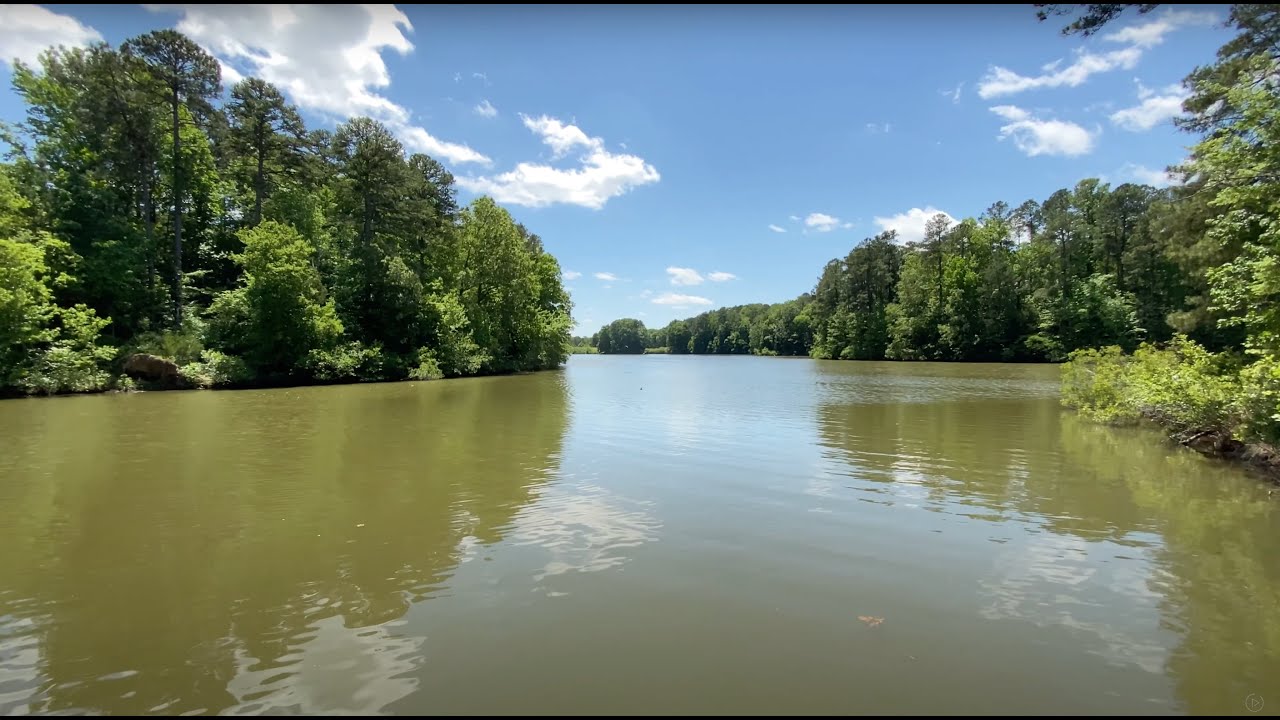 Walk of Lake Lynn Park, Raleigh, North Carolina | Driving Sounds for Sleep and Study