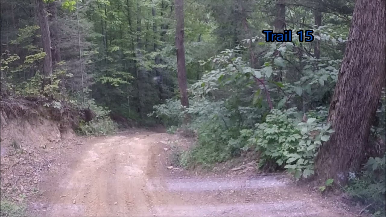 Trail 15 At Ridgeview Trail System / Spearhead Trails, Haysi VA