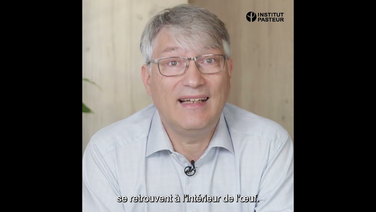 🥚🚿🤔 Faut-il laver les &oelig;ufs pour &eacute;viter les risques de contagion &agrave; la salmonellose ?