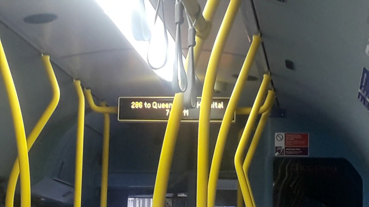 *[IBUS]* *
