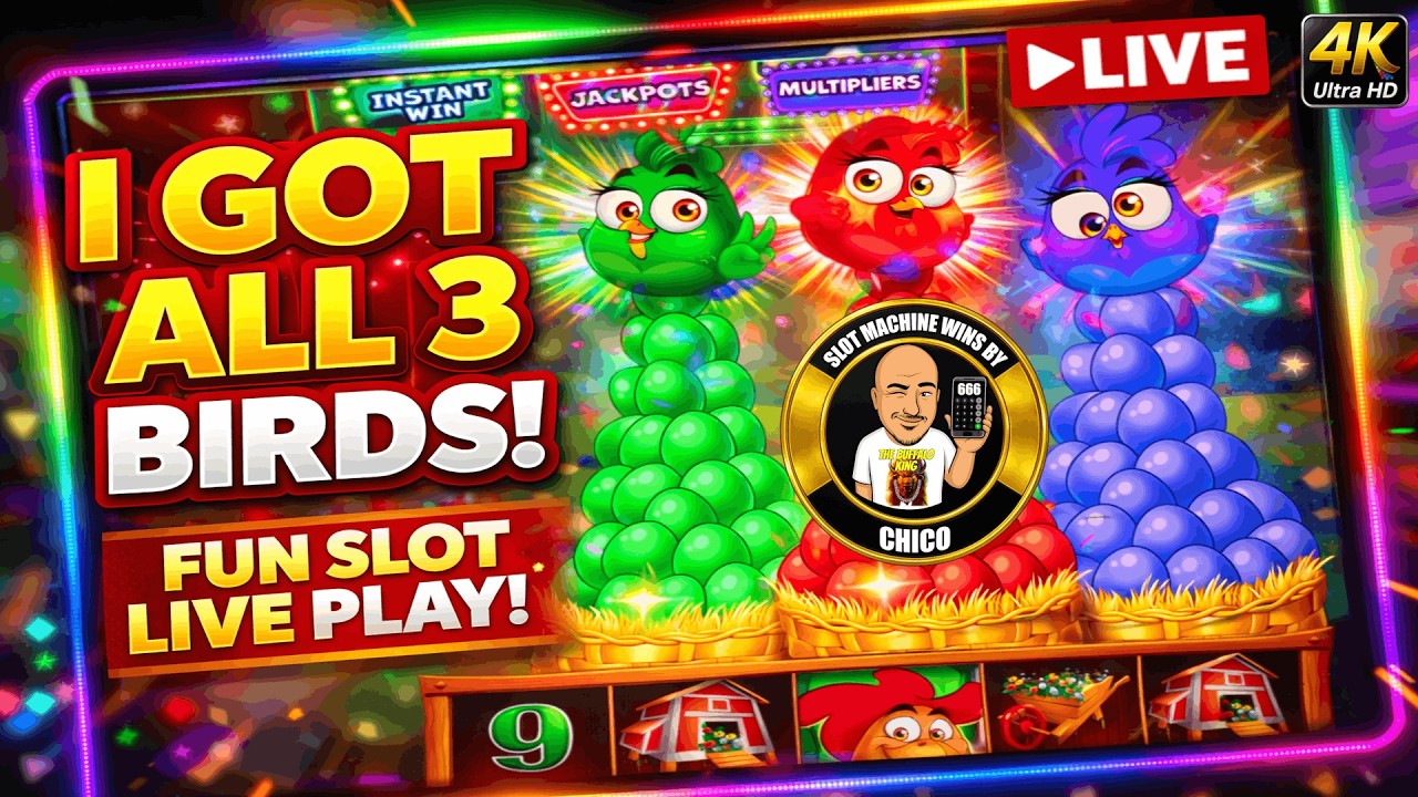 I GOT ALL 3 BIRDIES! FUN LIVE SLOT PLAY!