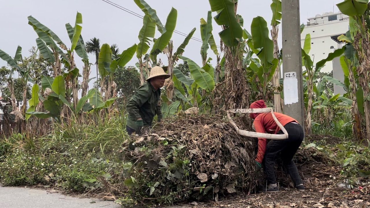 Amazing Transformation: Cleaning a Filthy, Weedy Sidewalk Full of Trash in a Rich Neighborhood.