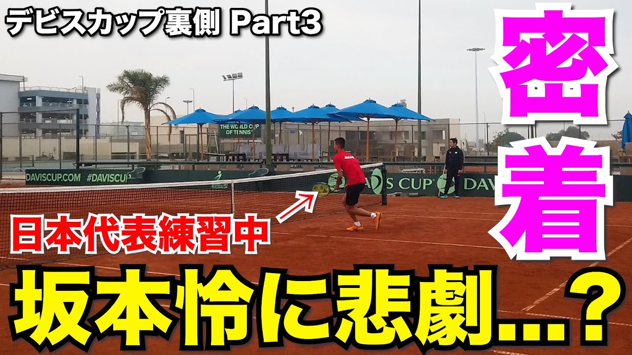遂に日本代表と合流！どんどん怜の本性がバレていくVlog【デビスカップ裏側密着Part3】