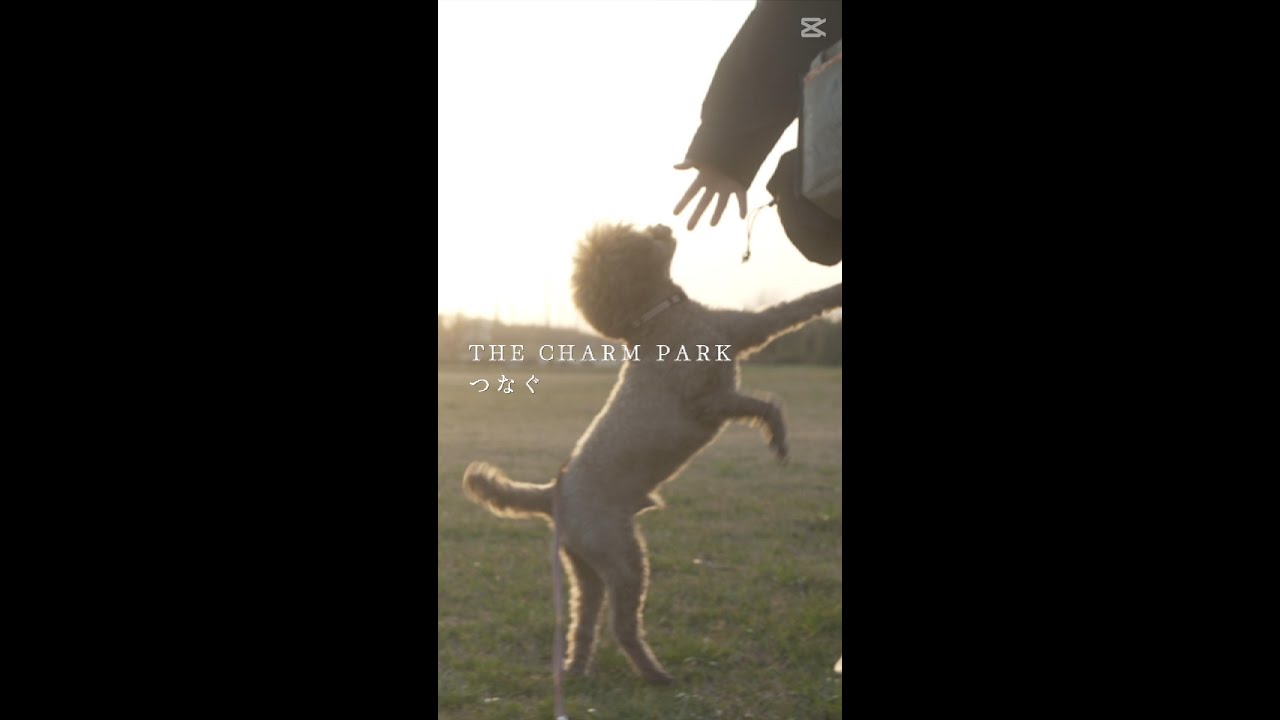 THE CHARM PARK - つなぐ