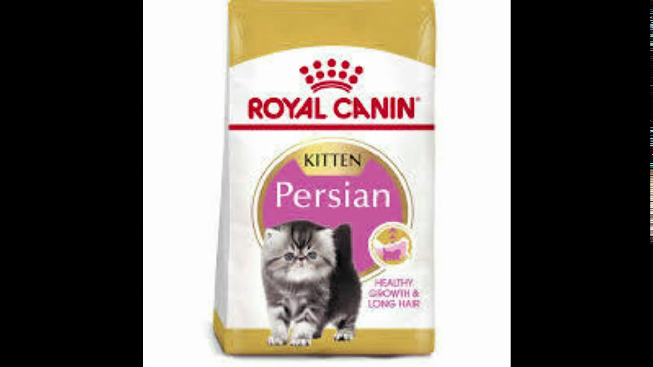 TYPES OF CAT FOOD FULL EXPLAINED IN (