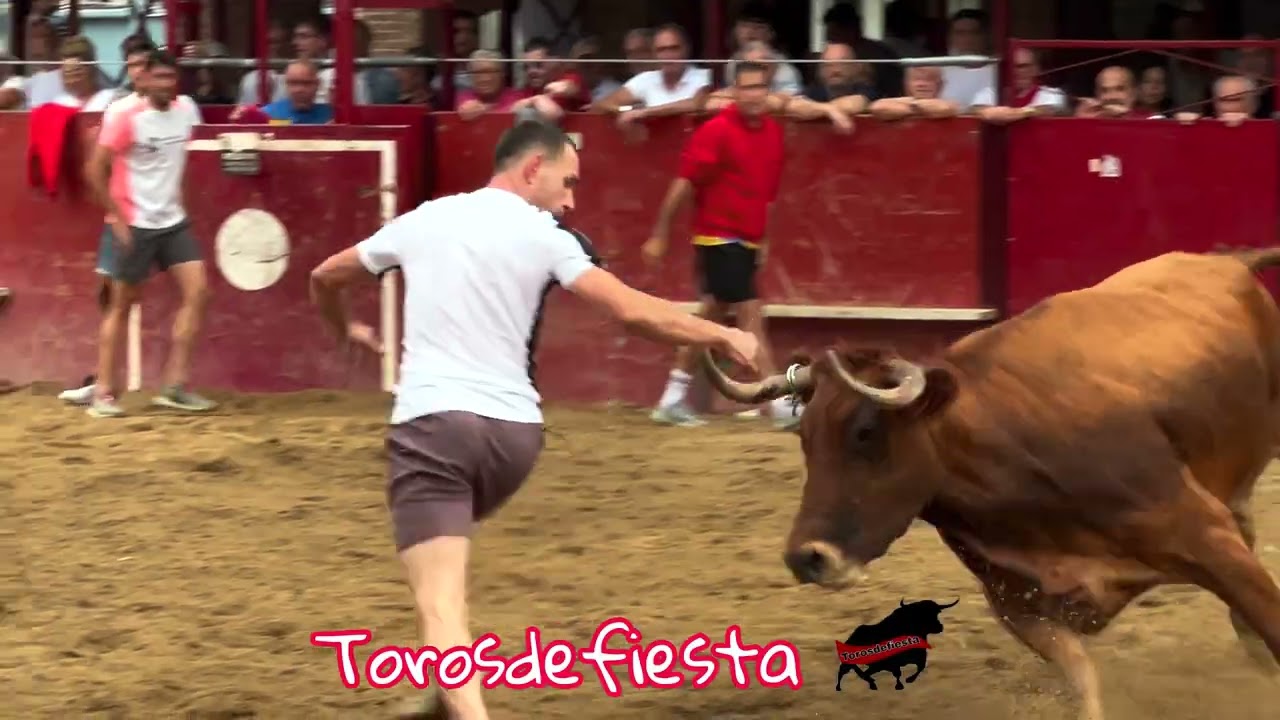 Murchante ganadería Ustárroz plaza