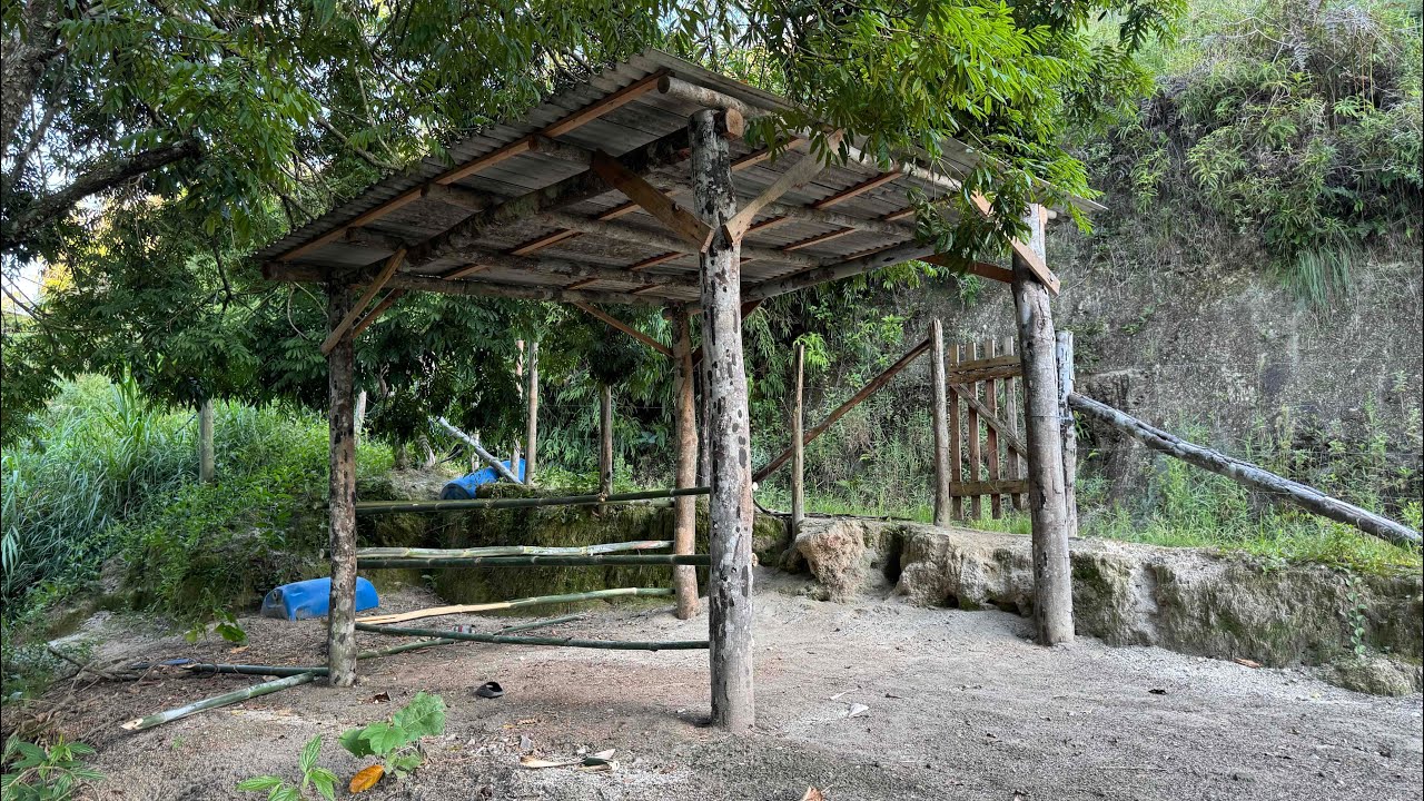 COMEÇAMOS A CONSTRUIR A CASINHA DO MINI SÍTIO DO NENEM. Thiago velho 
