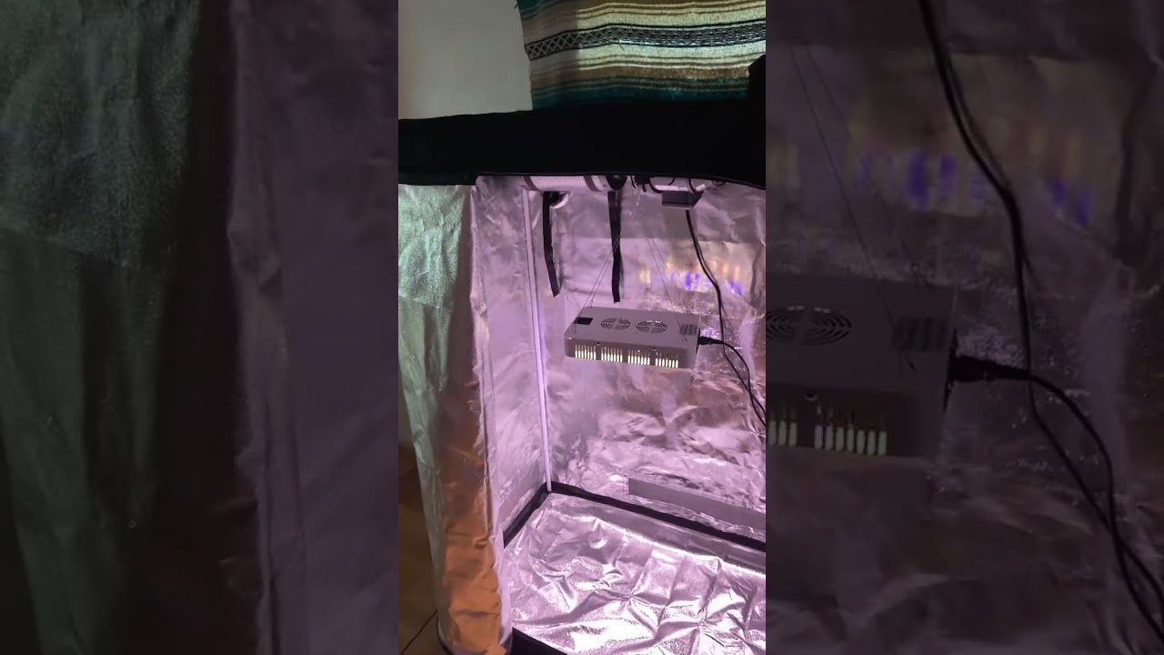 Budget grow tent for less than $175. (Stay tuned for my first coco coir grow)