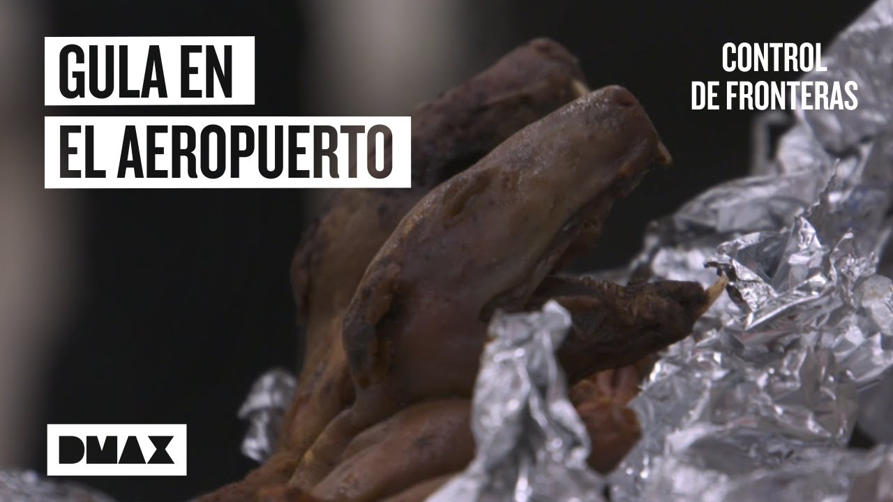 Top 5: viajeros glotones con mucha comida en la maleta | Control de fronteras