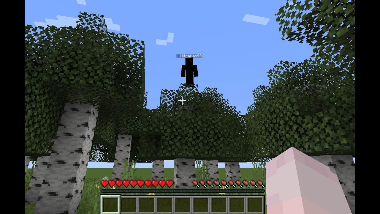 minecraft let's play: The dawn of a new server.