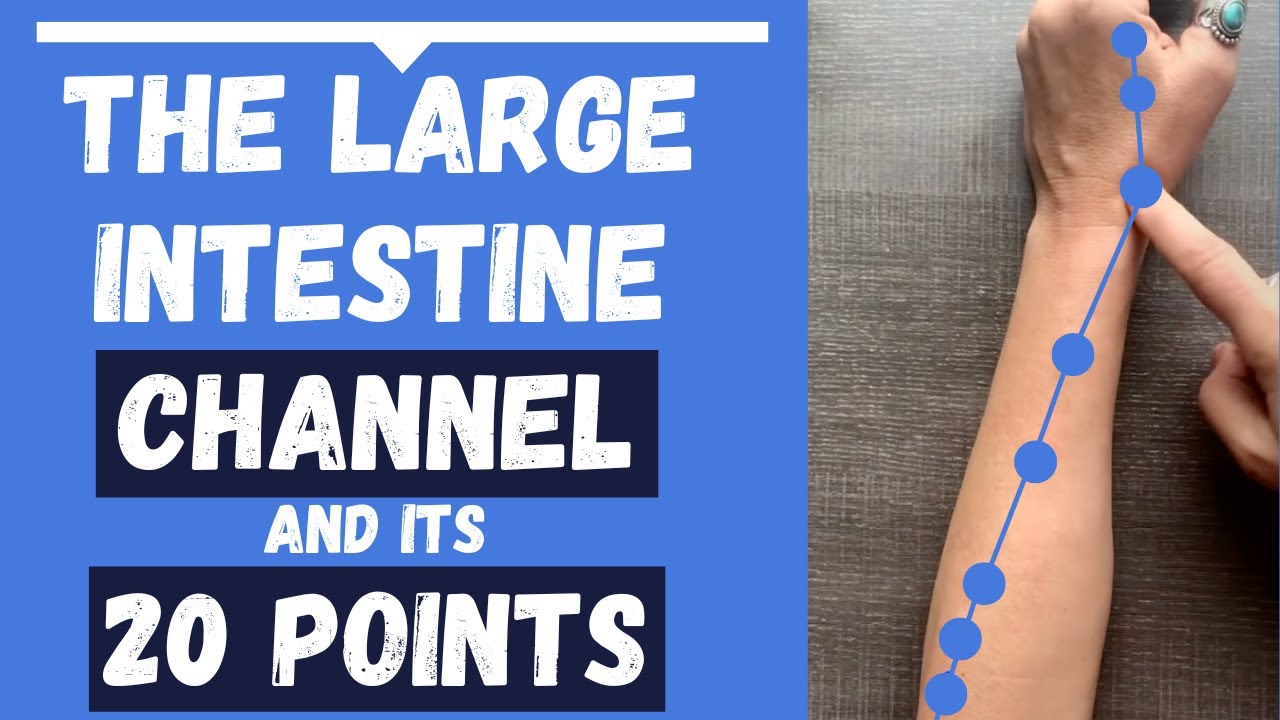 The Large Intestine Channel Meridian & Large Intestine Acupuncture Points