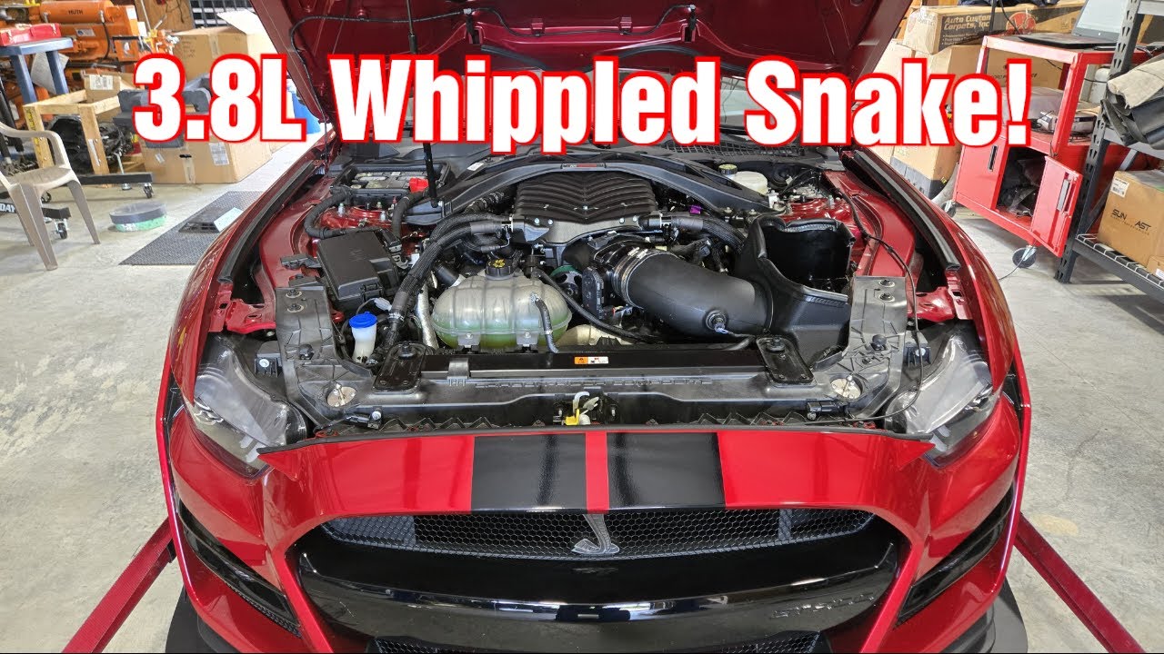 900+WHP Easy With A 3.8L Whipple Supercharger Upgrade On A 2020 GT500!