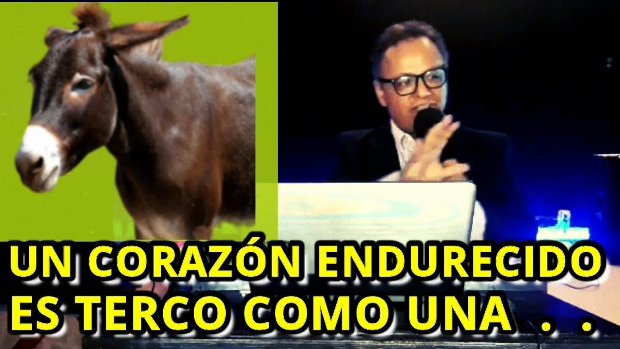 UN CORAZ&Oacute;N ENDURECIDO | ES MUY . . MUY . .  NECIO