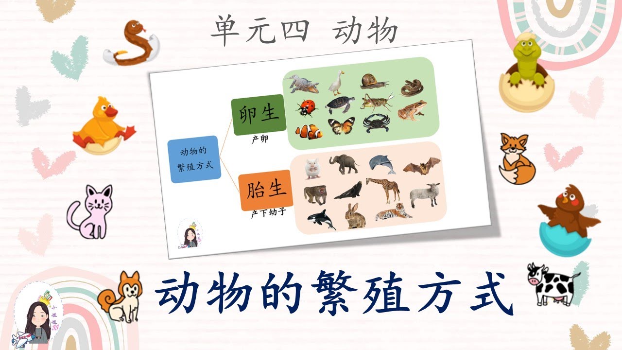 二年级 KSSR Semakan 科学 单元四 动物 【动物的繁殖方式】