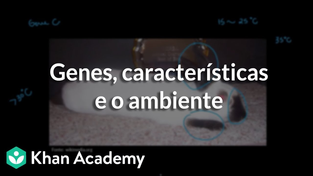 Genes, características e o ambiente