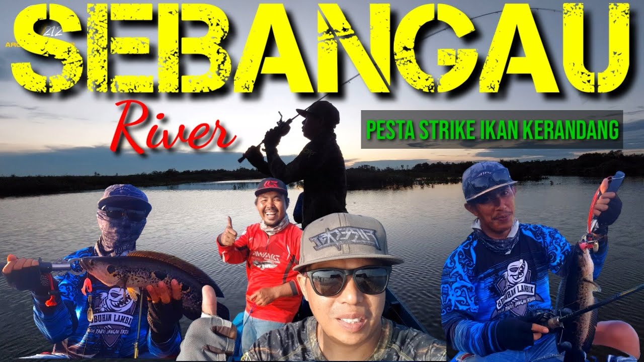 Casting Ikan Kerandang di Spot Sebangau Palangkaraya