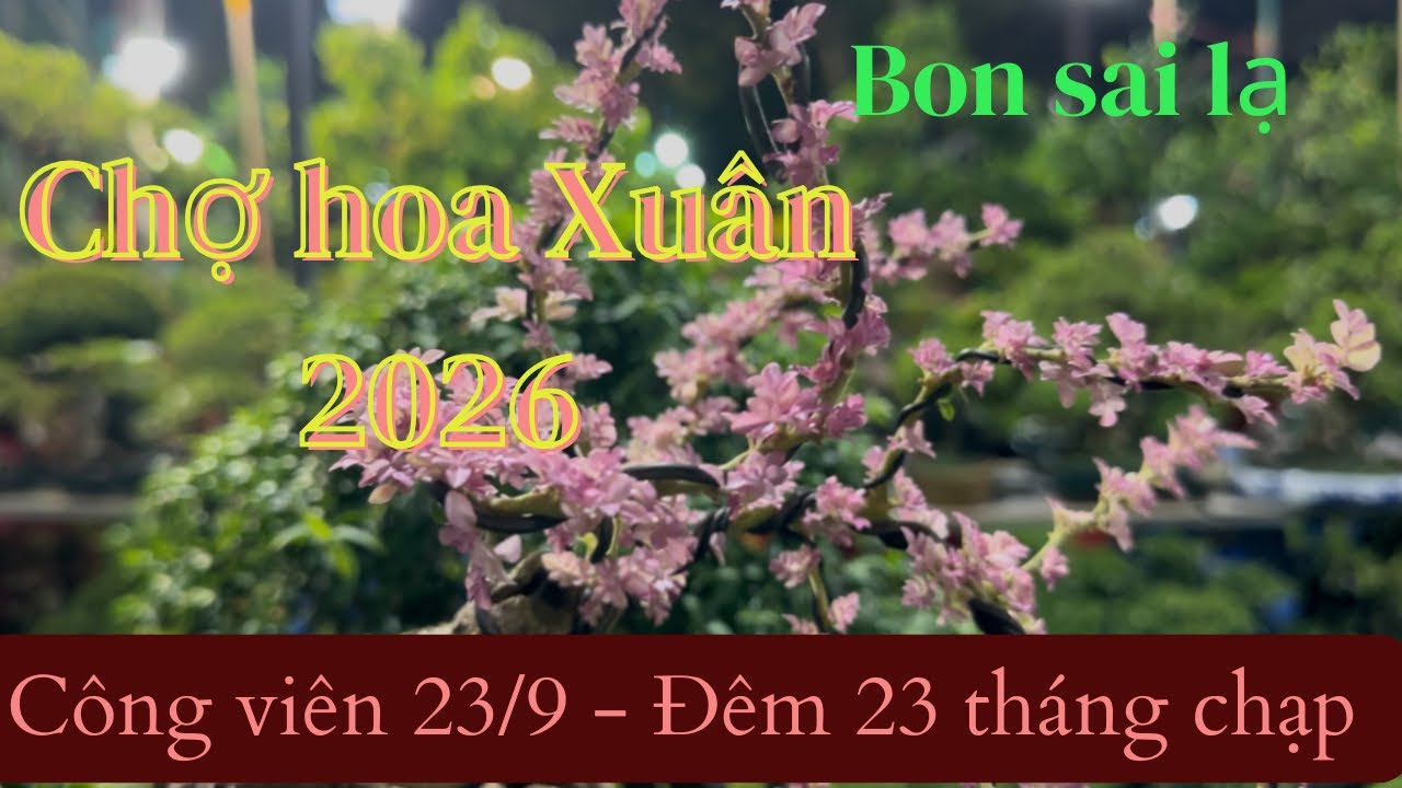 #70 Chợ hoa 23 tết 2026 
