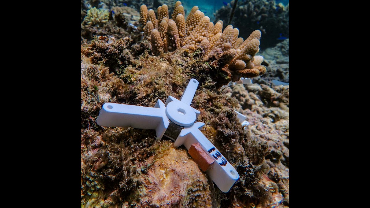 S3 E3: Coral 2.0: Can Technology Save the Great Barrier Reef?