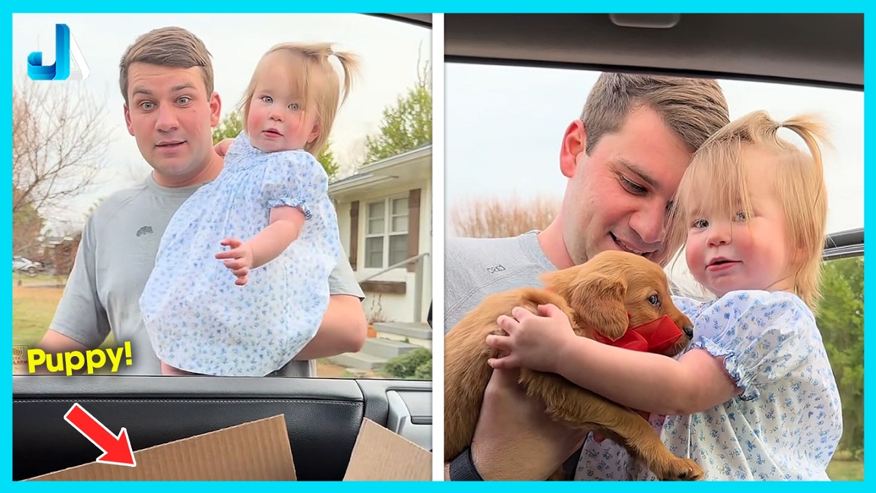 💕 New Puppy Surprise Compilation That Will Melt Your Heart