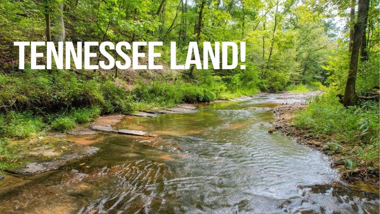 Tennessee Land for Sale | 5+ Acres - No Bank!