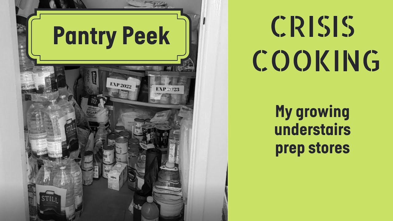 Quick Peek | My growing under-stairs preppers pantry | Cost of living
