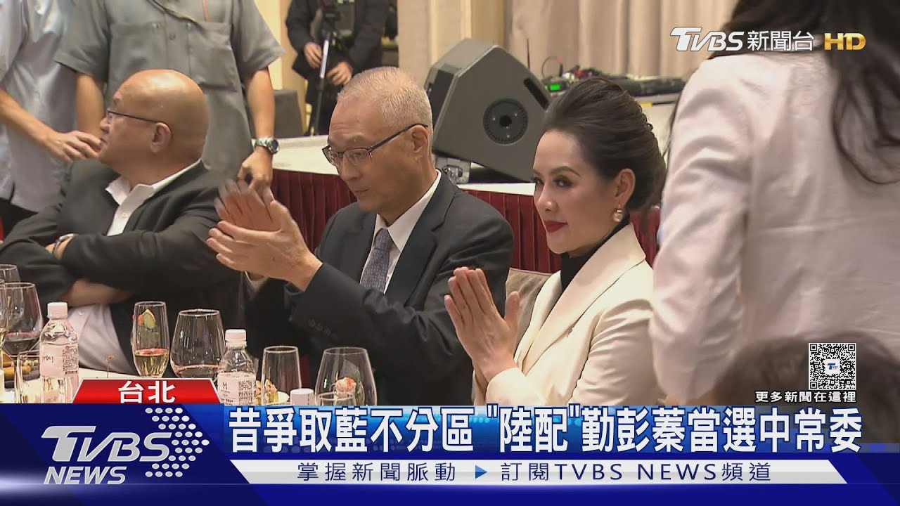 促兩岸!藍新任中常委多台商 黨內現隱憂｜TVBS新聞 @TVBSNEWS02