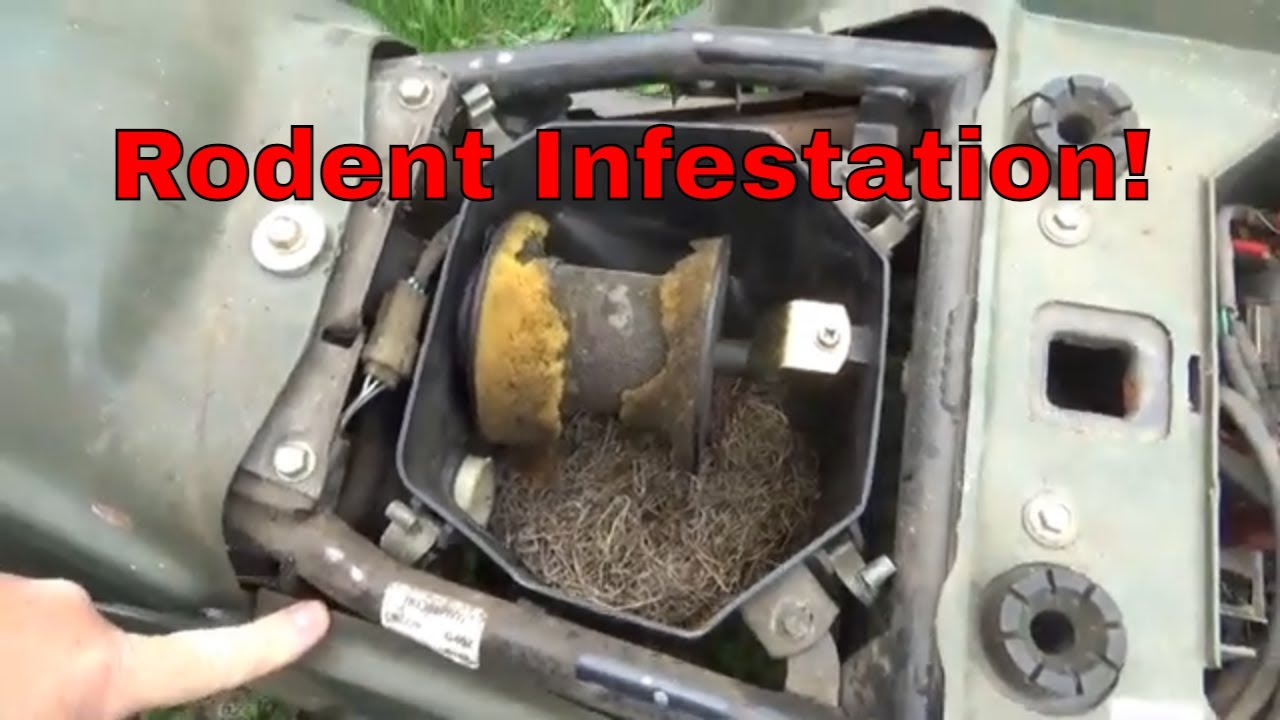 Honda TRX 300 4x4 Rodent Infestation, Clean Up, Modification, Repair!