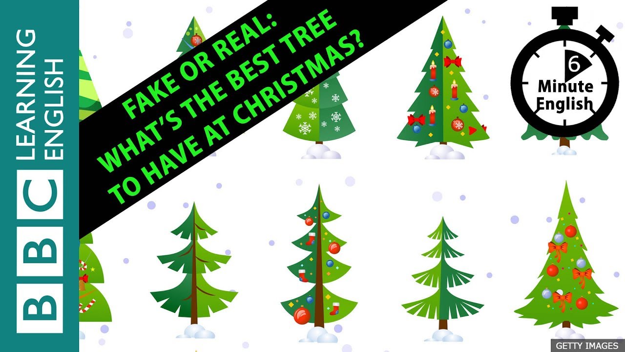 🎄🎅🎁 Fake or real: What’s the best tree to have at Christmas? 6 Minute English