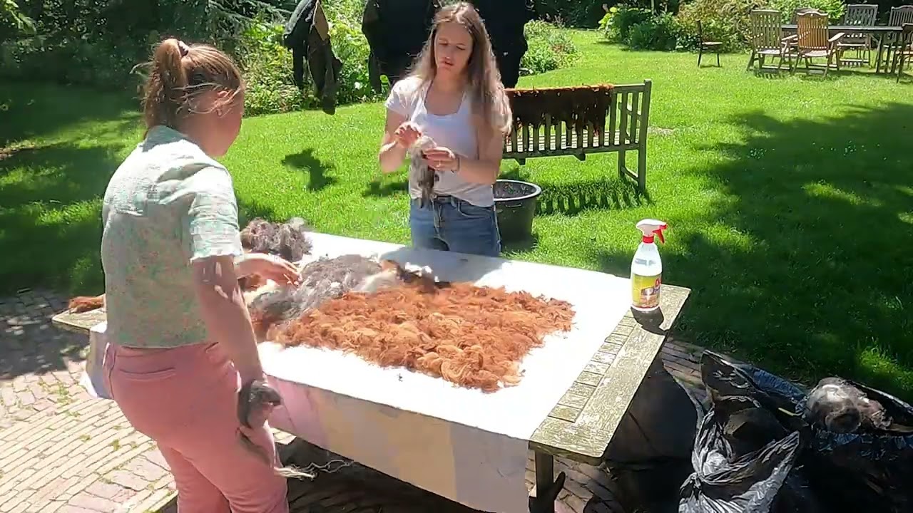 Natvilten
