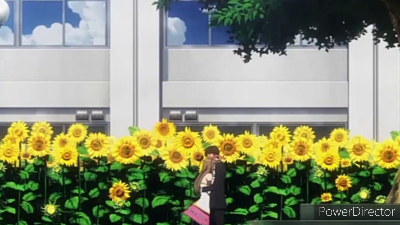 Photo Kano ost Hoshi no Mieru Oka
