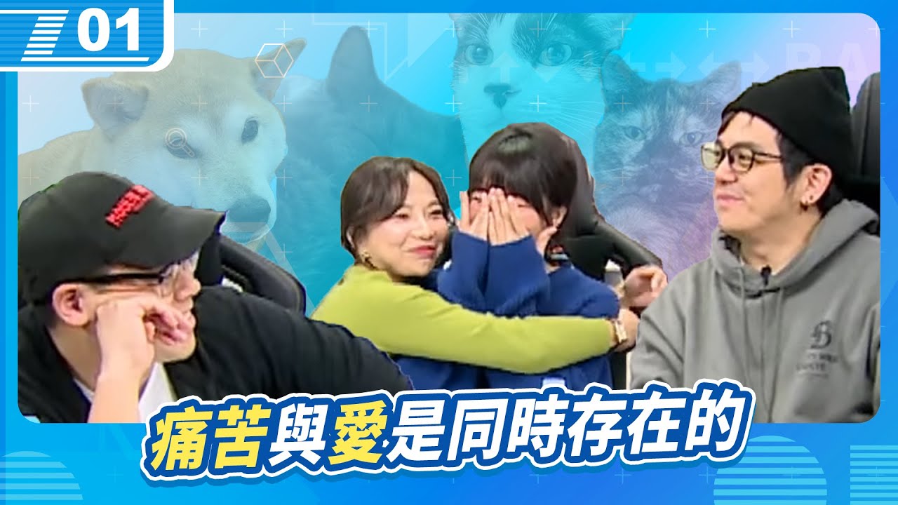 痛苦與愛是並存的，好好陪伴寵物家人一生的旅程。｜6tan、鳥屎 Feat.貝莉莓、小熊｜現在宅知道 VOD｜20240103｜P1