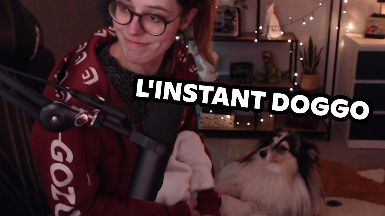 L'instant doggo sur le stream d'Angle Droit