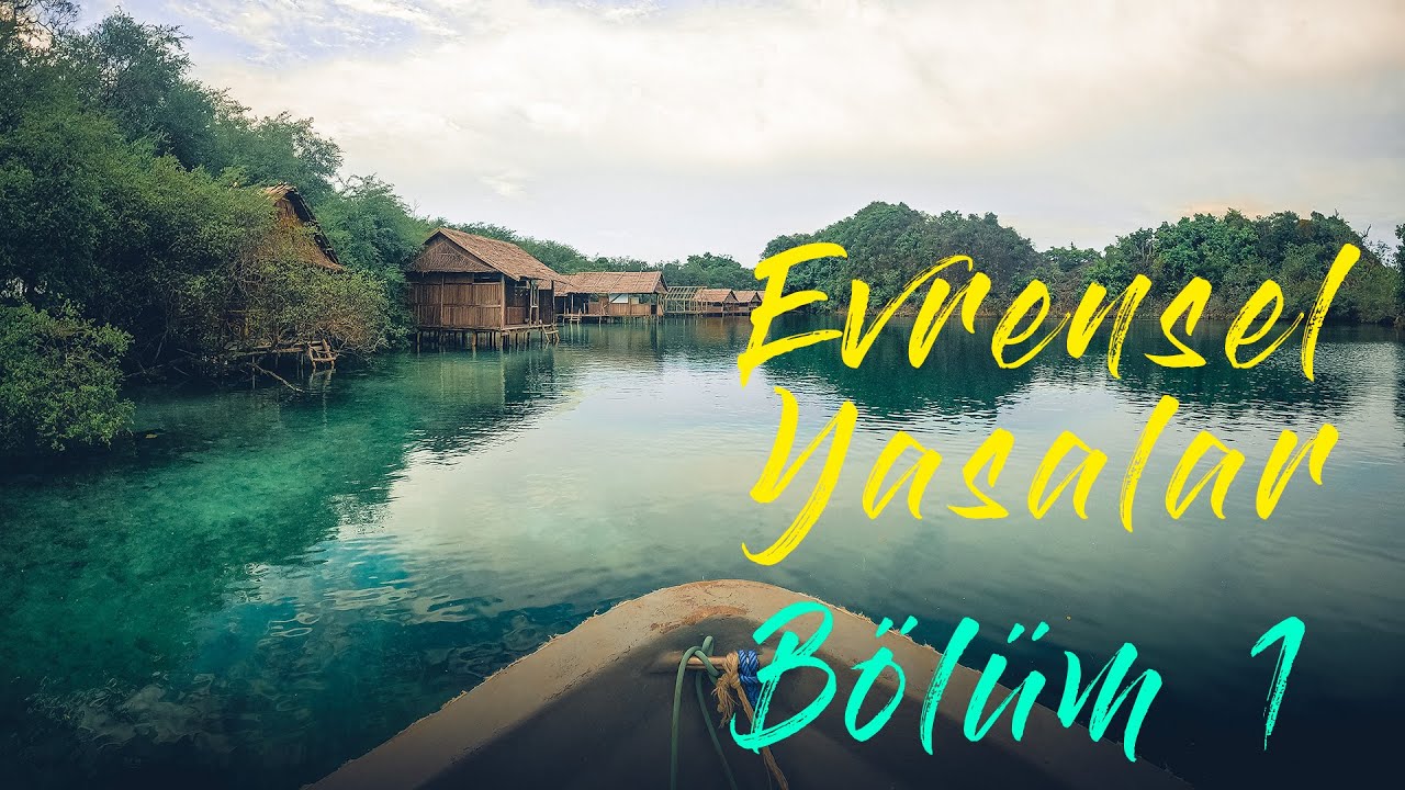 Evrensel yasalar / Bölüm 1 #çekimyasası #hizalanma #kişiselgelişim