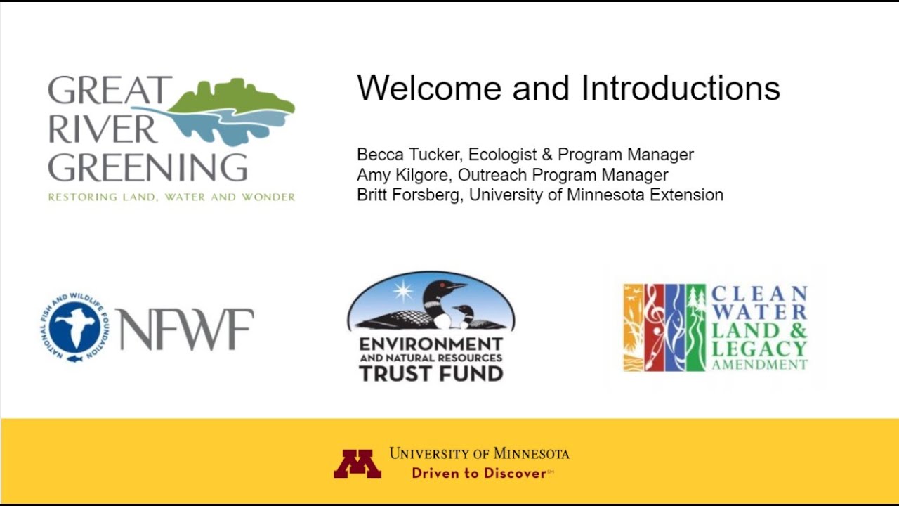 Pollinator Monitoring and Insect Sampling 101 | Great River Greening and UMN Extension