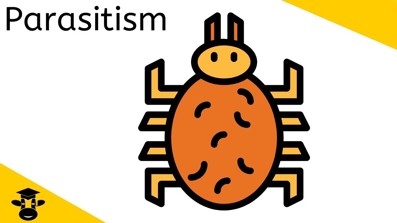Parasitism Examples