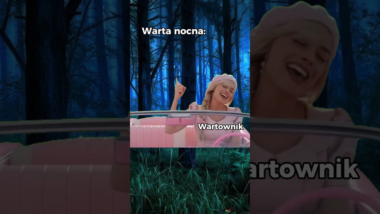 Podkradaliście się kiedyś? #ob&oacute;z #harcerstwo #harcerze #warta #podkradanie #wartownik