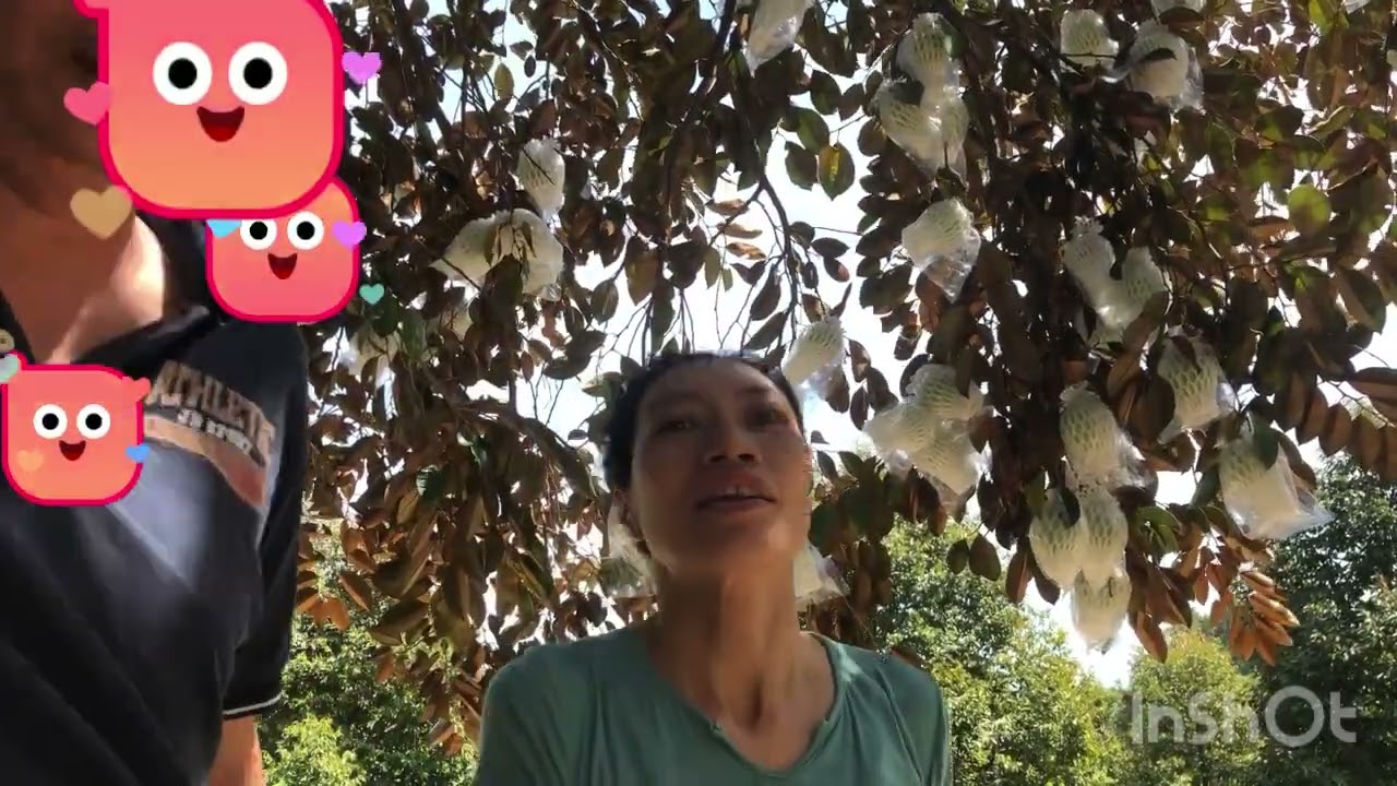 Mùng 2 vô nhà dì 5