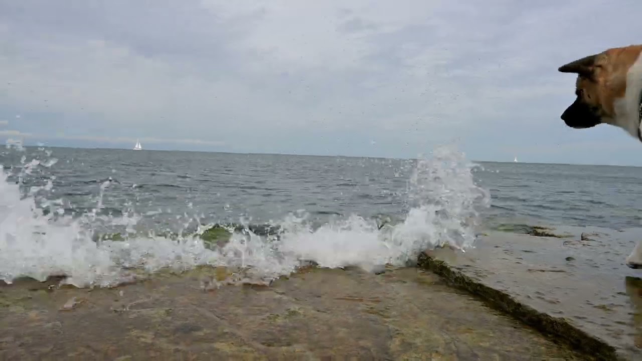 Klinta Öland 2023-07-12