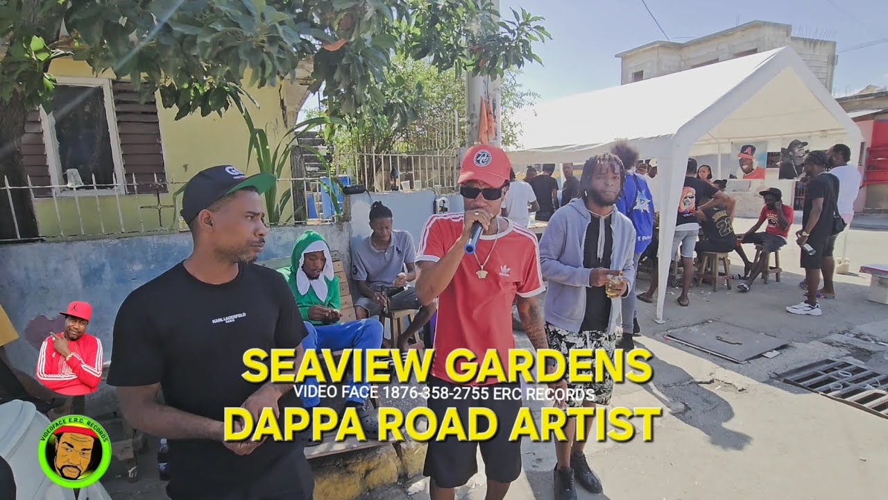 WILFUL SKILFUL SEGGY NIGHT OWL SERUMBELUM DUTCH SEAVIEW GARDENS ARTIST VYBIN MUST WATCH