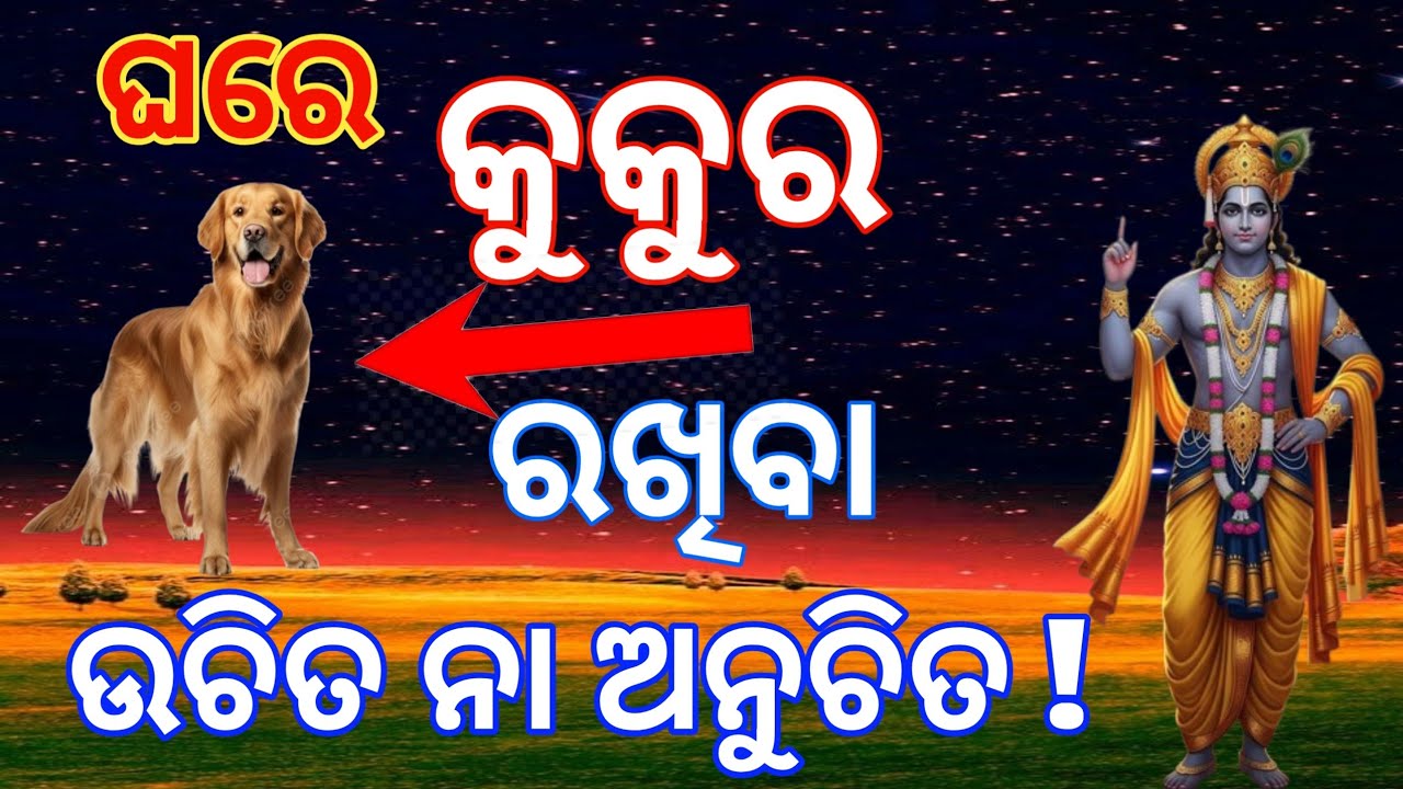 ଘରେ କୁକୁର ପାଳିବା ଉଚିତ ନା ଅନୁଚିତ/Should we keep Dogs at Home/prakash gyan tv 