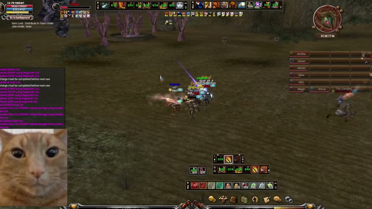 SHAIYA NEBULA (Shaiya private server 2026) 9 days online Easy to farm ready to PVP